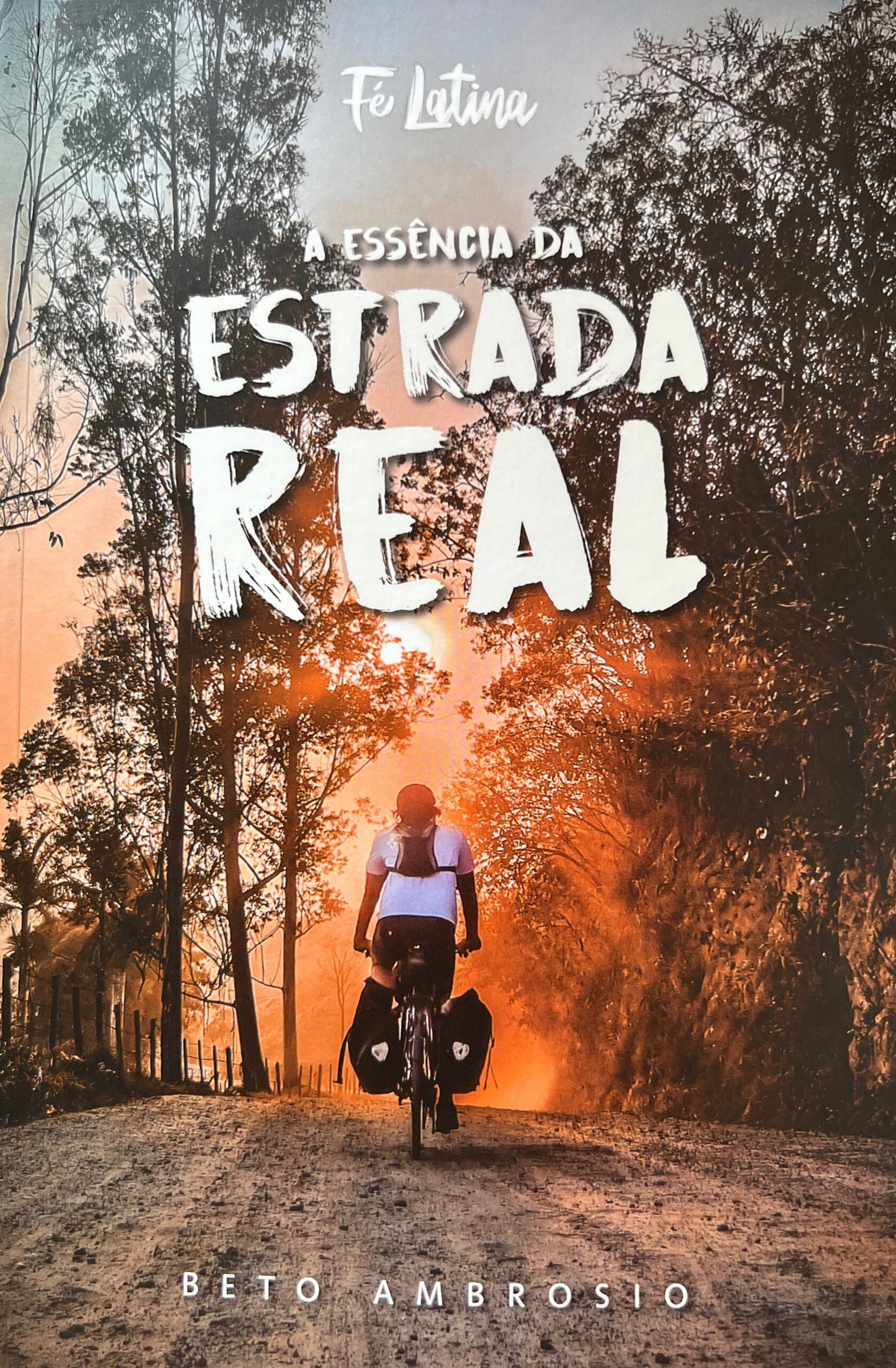 A ESSÊNCIA DA ESTRADA REAL